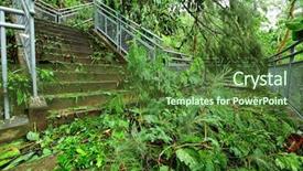  Presentation with typhoon - Amazing slide set having weather catastrophe - destroy after typhoon in city backdrop and a tawny brown colored foreground