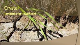  Presentation with land - Colorful theme enhanced with weather catastrophe - herb in dry land backdrop and a tawny brown colored foreground