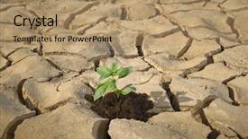  Presentation with cracked - Theme featuring weather catastrophe - small plant in a cracked background and a  colored foreground