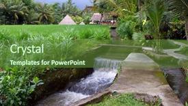  Presentation with rice field - Colorful slide set enhanced with green rice field on island backdrop and a tawny brown colored foreground