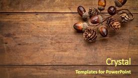  Presentation with wood rustic - PPT layouts enhanced with weathered wood background with acorn background and a tawny brown colored foreground