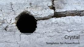  Presentation with wood log - Beautiful theme featuring weathered wood with log hole and bleached backdrop and a light gray colored foreground