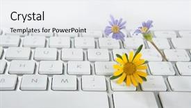  Presentation with web design - PPT layouts with web design red white - concept of flowers growing background and a  colored foreground