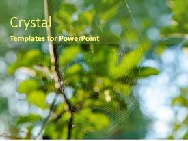 Web That A Spider Spun PPT template 49 | CrystalGraphics