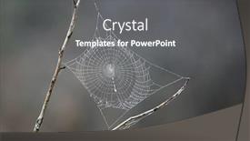  Presentation with dew - Audience pleasing presentation design consisting of water droos in morning dew backdrop and a gray colored foreground