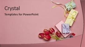  Presentation with events women - Amazing PPT theme having wedding and other festive event backdrop and a coral colored foreground