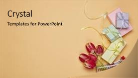  Presentation with events women - Slide set consisting of wedding and other festive event background and a lemonade colored foreground