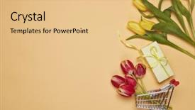  Presentation with events women - PPT theme with wedding and other festive event background and a coral colored foreground