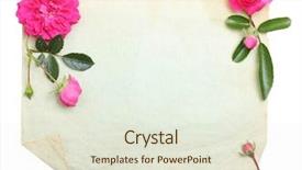  Presentation with vintage paper - Beautiful slides featuring vintage background with old paper and pink roses flowers backdrop and a sky blue colored foreground