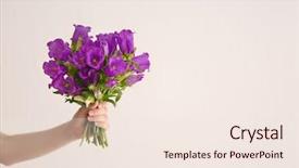  Presentation with wedding bells - Colorful presentation theme enhanced with wedding bells - beautiful bouquet of purple bellflowers backdrop and a sky blue colored foreground