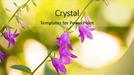  Presentation with blurred flowers - Audience pleasing PPT layouts consisting of wedding bells - close up photo of beautiful backdrop and a yellow colored foreground