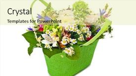  Presentation with white flowers of jasmine - Slide set with wedding bells - flowers bouquet isolated on white background and a blonde colored foreground