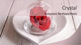  Presentation with bible red rose - Amazing theme having wedding bells - red rose in bell jar backdrop and a lemonade colored foreground