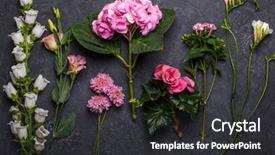  Presentation with wedding bells - Presentation theme enhanced with wedding bells - various of pink and white background and a dark gray colored foreground