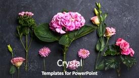  Presentation with wedding bells - Slides having wedding bells - various of pink and white background and a dark gray colored foreground