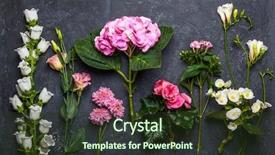  Presentation with hacker in pink and black - PPT layouts consisting of wedding bells - various of pink and white background and a tawny brown colored foreground