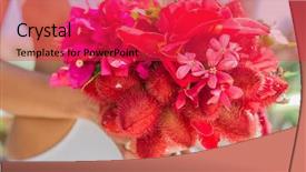  Presentation with tropical wedding - Presentation theme with wedding bouquet from local tropical background and a red colored foreground