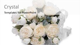  Presentation with wedding roses - Beautiful presentation theme featuring wedding-bouquet-of-artificial-white backdrop and a white colored foreground