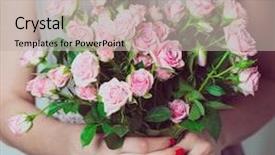  Presentation with pink wedding - Slides enhanced with wedding bouquet of flowers young bridesmaid holding a bouquet of pink roses background and a soft green colored foreground