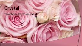  Presentation with wedding roses - Presentation having wedding bouquet of pink roses background and a coral colored foreground