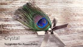  Presentation with peacock feather - PPT theme having wedding-boutonniere-with-peacock-feather background and a mint green colored foreground