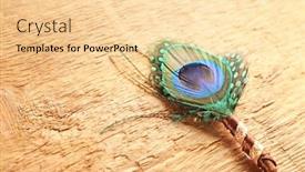  Presentation with peacock feather - Slide set enhanced with wedding-boutonniere-with-peacock-feather background and a blonde colored foreground
