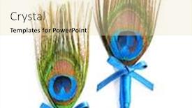  Presentation with peacock feather - PPT theme consisting of wedding-boutonnieres-with-peacock-feather background and a lemonade colored foreground