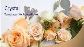  Presentation with orange butterfly - PPT theme featuring wedding butteflies - close up of orange flowers background and a  colored foreground