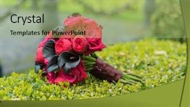  Presentation with indian bridal wear - PPT layouts with wedding calla lily - bridal bouquet background and a mint green colored foreground