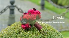  Presentation with wedding calla lily - Colorful slide deck enhanced with wedding calla lily - bridal bouquet backdrop and a seafoam green colored foreground