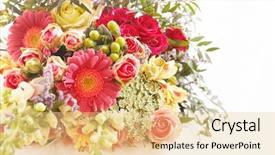  Presentation with wedding calla lily - Colorful theme enhanced with wedding calla lily - nice flowers backdrop and a  colored foreground