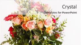  Presentation with flowers - Presentation theme with wedding calla lily - nice flowers background and a  colored foreground