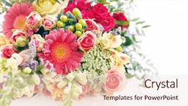  Presentation with wedding calla lily - Cool new slide deck with wedding calla lily - nice flowers backdrop and a  colored foreground