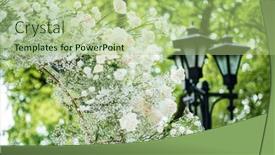  Presentation with white wedding - Slide set featuring wedding-ceremony-in-nature background and a mint green colored foreground