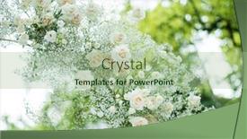  Presentation with white wedding - Presentation theme having wedding-ceremony-in-nature background and a mint green colored foreground