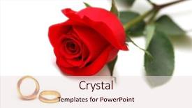  Presentation with wedding rings - PPT theme with wedding concept with roses background and a lemonade colored foreground