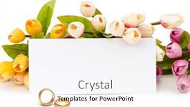  Presentation with wedding roses - Colorful presentation enhanced with wedding concept with roses and rings backdrop and a sky blue colored foreground