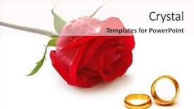  Presentation with wedding roses - PPT layouts having wedding concept with roses background and a sky blue colored foreground
