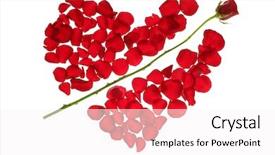  Presentation with red and white rose petals - Audience pleasing PPT theme consisting of wedding cupid - valentine red rose petals heart backdrop and a white colored foreground