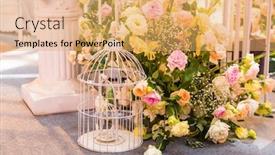  Presentation with birdcage - PPT theme with wedding-decoration-with-beautiful-vintage background and a yellow colored foreground
