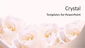  Presentation with pink roses - Theme with wedding flowers - bridal bouquet of pale pink background and a white colored foreground