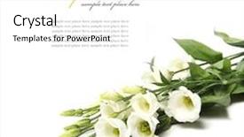  Presentation with flower wedding - Theme consisting of cymk 3d printing concept lightbulb background and a light gray colored foreground