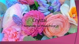  Presentation with wedding roses - Cool new presentation design with wedding flowers bridal bouquet closeup backdrop and a coral colored foreground