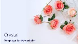  Presentation with pink wedding - Presentation enhanced with wedding-flowers-st-valentine-s background and a sky blue colored foreground