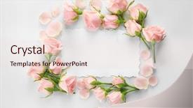  Presentation with wedding floral frame - Colorful PPT layouts enhanced with wedding frames - floral frame on white background backdrop and a lemonade colored foreground