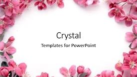  Presentation with frame pink - Cool new theme with wedding frames - flowers composition frame made backdrop and a white colored foreground