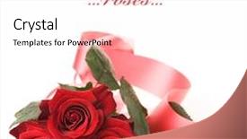  Presentation with wedding roses - Presentation theme having wedding frames - roses background and a white colored foreground