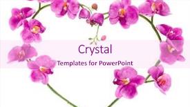  Presentation with orchids - Audience pleasing PPT layouts consisting of wedding hearts - heart from pink orchids backdrop and a pink colored foreground