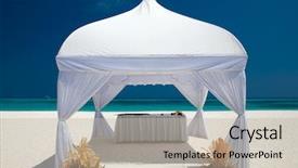  Presentation with tropical wedding - Amazing PPT theme having wedding pavilion at a tropical backdrop and a mint green colored foreground
