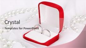  Presentation with white wedding - PPT layouts having glossy ibis plegadis falcinellus wading in a pond - merritt island florida background and a white colored foreground